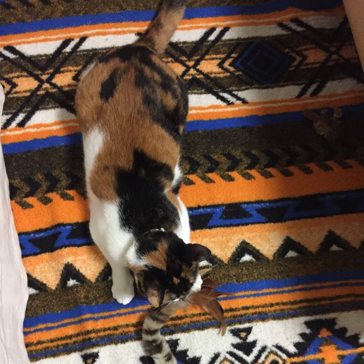 9f4f07b6 70cf 432e 8dd7 224d2f6b3ae8