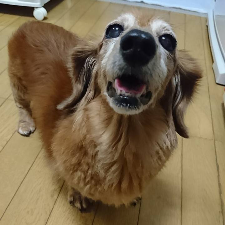 9f4fbc40 d896 46c7 9e06 360daeb1060c