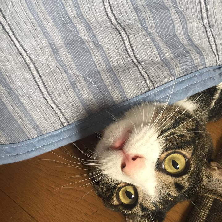 9f50afcb f9c5 49fa 8600 552d6774f759