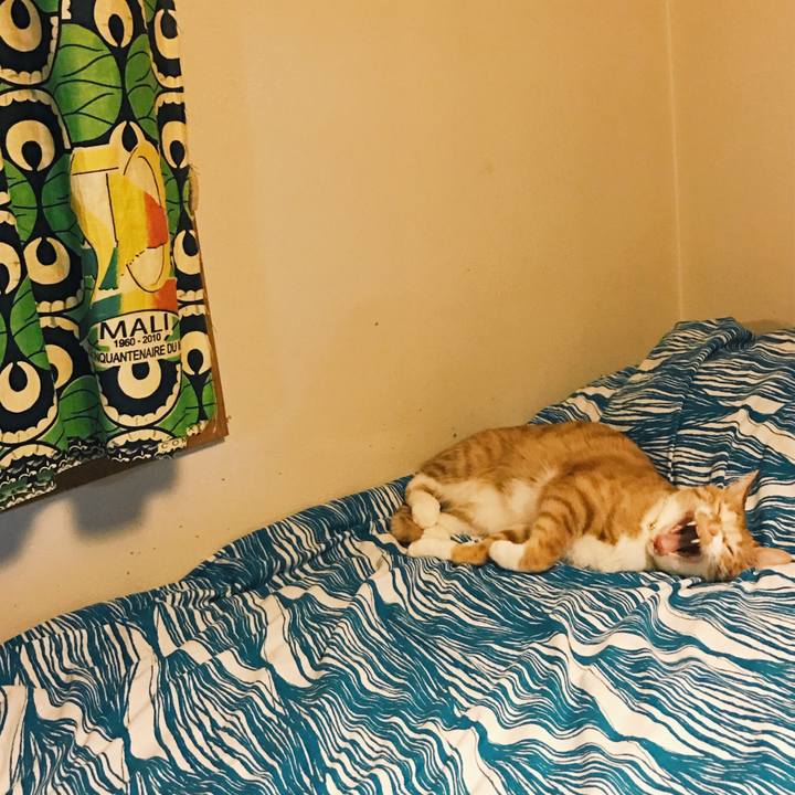 9f50db01 cc87 4d20 8d7f 9fdd7a7e7242