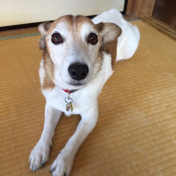 9f510d41 da21 4bd3 b403 ed1d7fc1ee4e