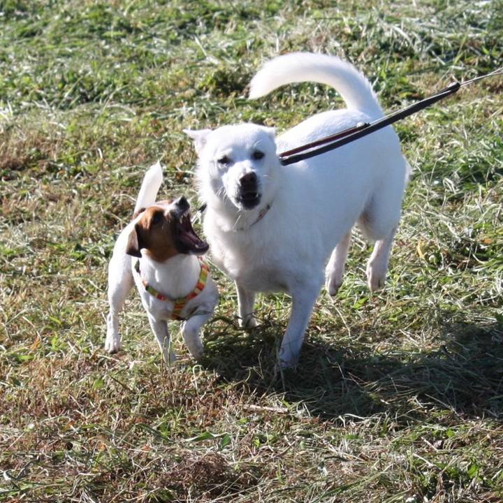 9f51246b 7a7e 48f8 b030 200a83d1a31c