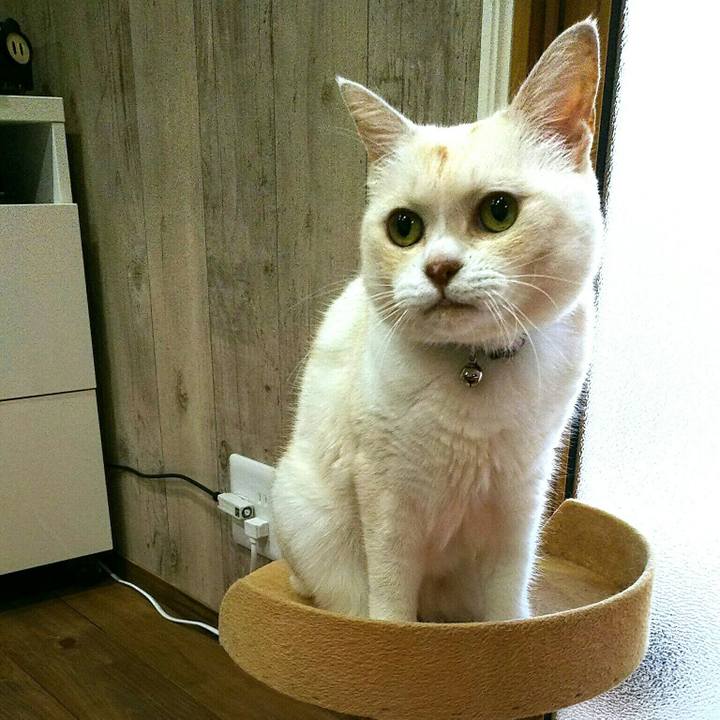 9f514b86 4e29 42f0 8c52 66c3f9730957