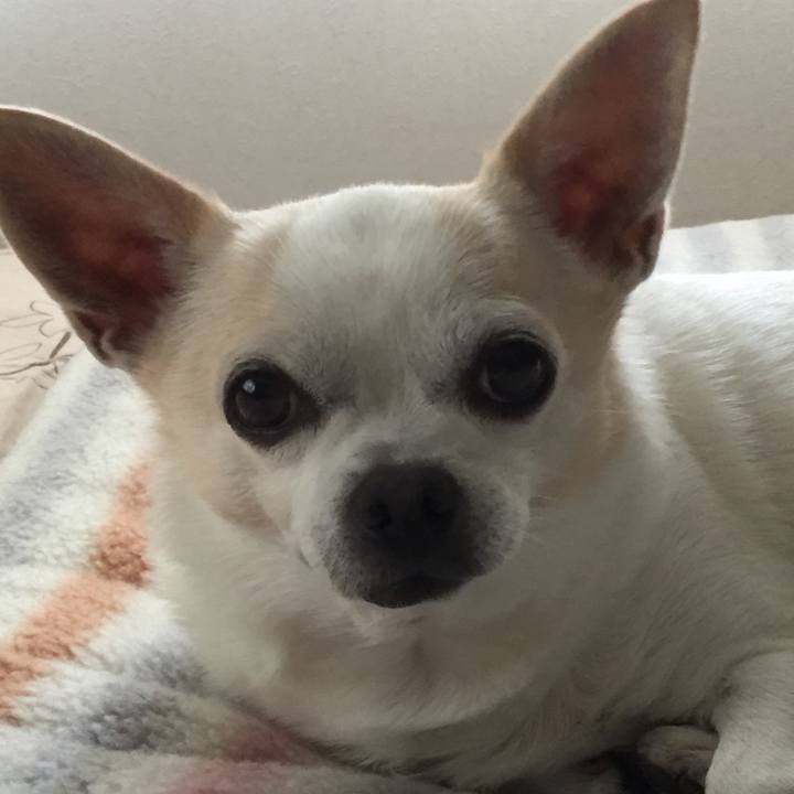 9f518aae bed7 4750 8640 5683d17c81eb