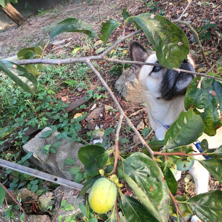 9f51e1fa c160 4e54 b92a ddca664f020d