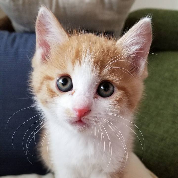 9f51e379 7172 4dba a802 49041ba595c4