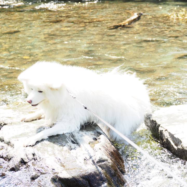 9f52bd45 e69a 4351 8d5b 650b11d8005b