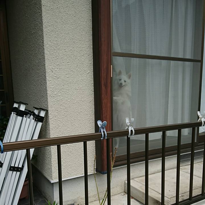 9f531fbf 3015 4ace 92c2 5fcb7ebc1a96