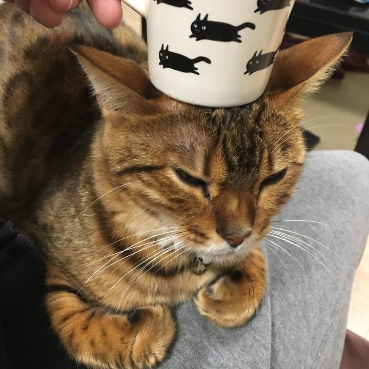 9f53948e a09b 425c 8427 d9d2a9a14e7b