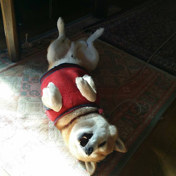 9f53e3c0 1983 412d 8a0d 0b87283c4294