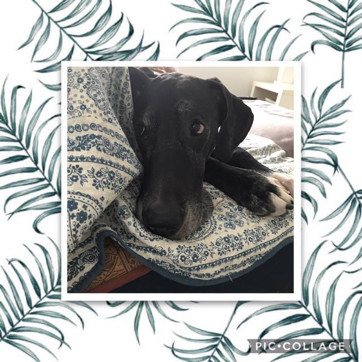 9f54027c e4c3 44ac 9faf 9e81c408c414