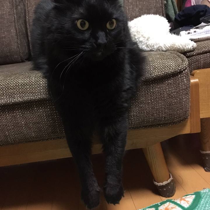 9f5406d8 cdce 45f7 9999 1e8144a7a097