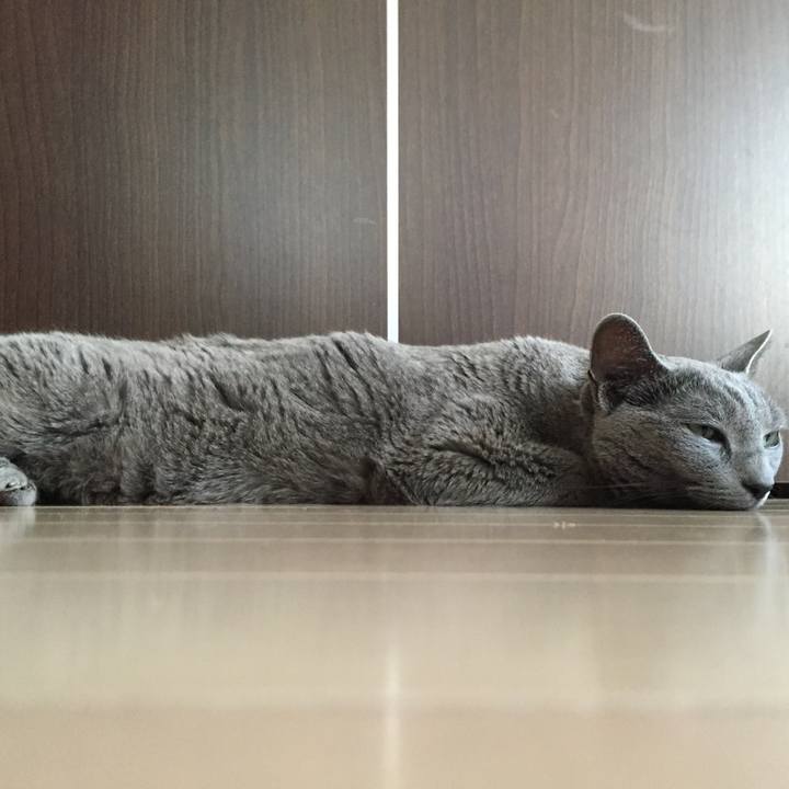 9f5499ab b9fe 4346 bb22 ecaf82cde092