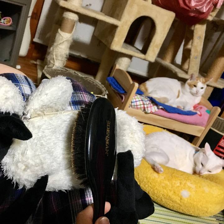 9f54b169 4139 4607 b754 701cefee0e03