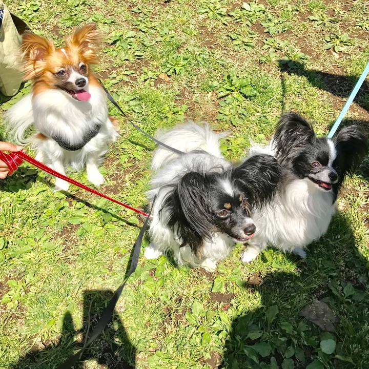 9f5501d7 fa86 43ea befe c57b8b250c34