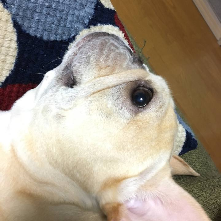 9f553916 309a 48c6 9efd 2d9a5e3b6f8c