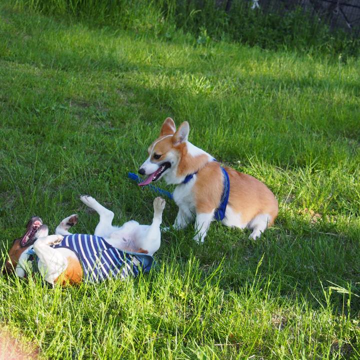 9f5557af abab 43c1 b754 ef4d265c458a