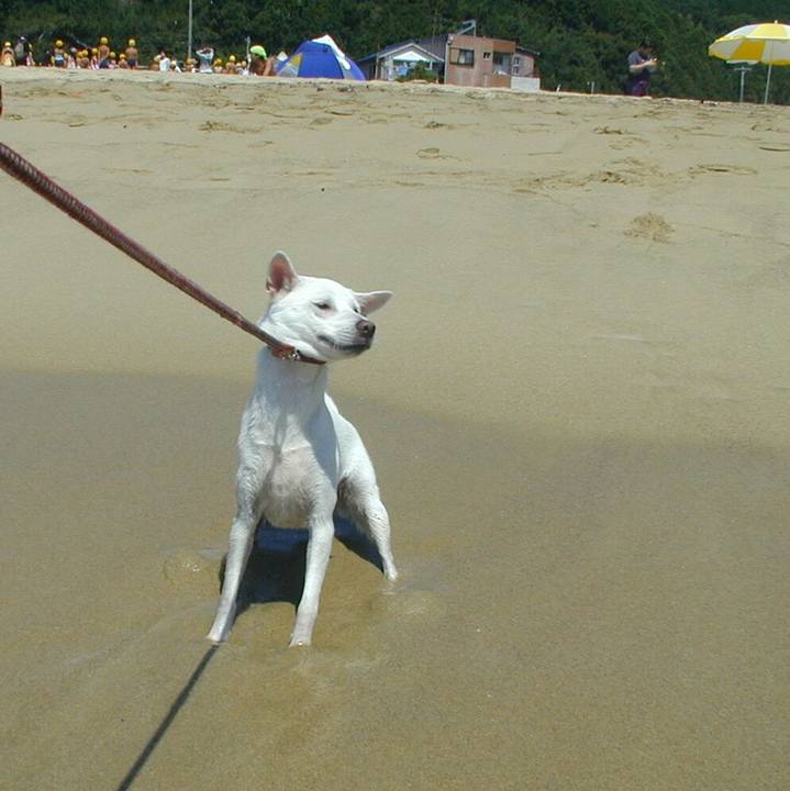 9f56107b 9422 411a bb4d dc37d35734f2