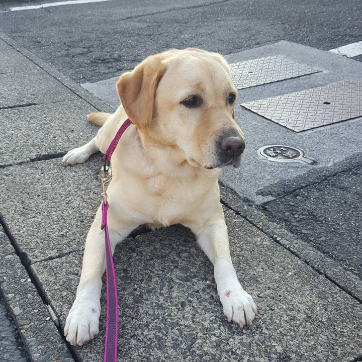 9f5659a8 72c8 4ca0 8132 c83329a72793