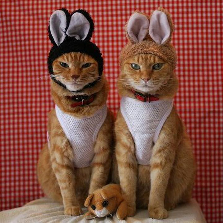 9f56704d 3fc1 4c73 b680 4dfee60e217f