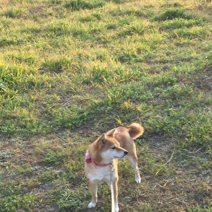 9f56a895 035f 4c9a bad8 f423854e8906