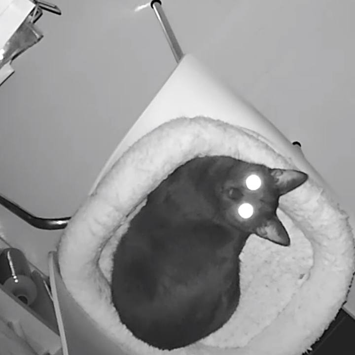 9f5726ef 4b48 4c3c b7fb e3c314a570ee