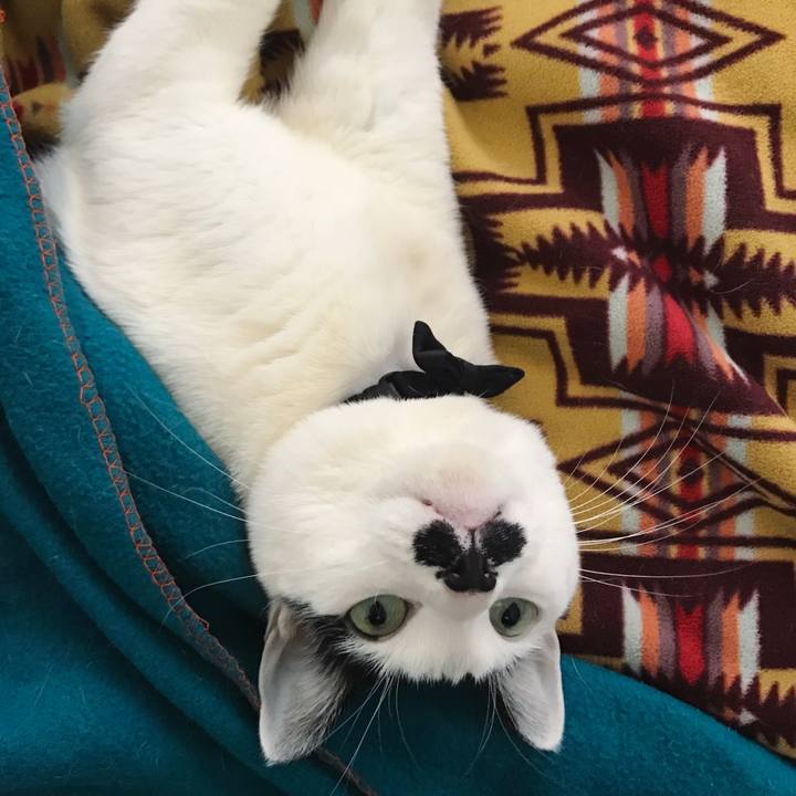 9f575a9d 6406 44bb b889 1e16b0eee853