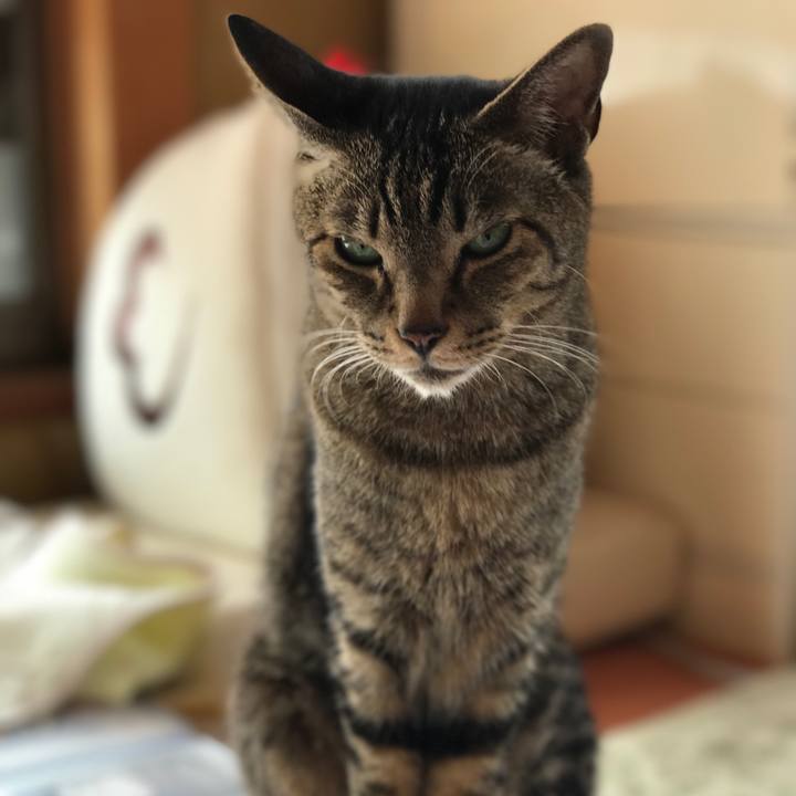 9f57b50d 535f 4f33 baf1 91ff8cd378c9