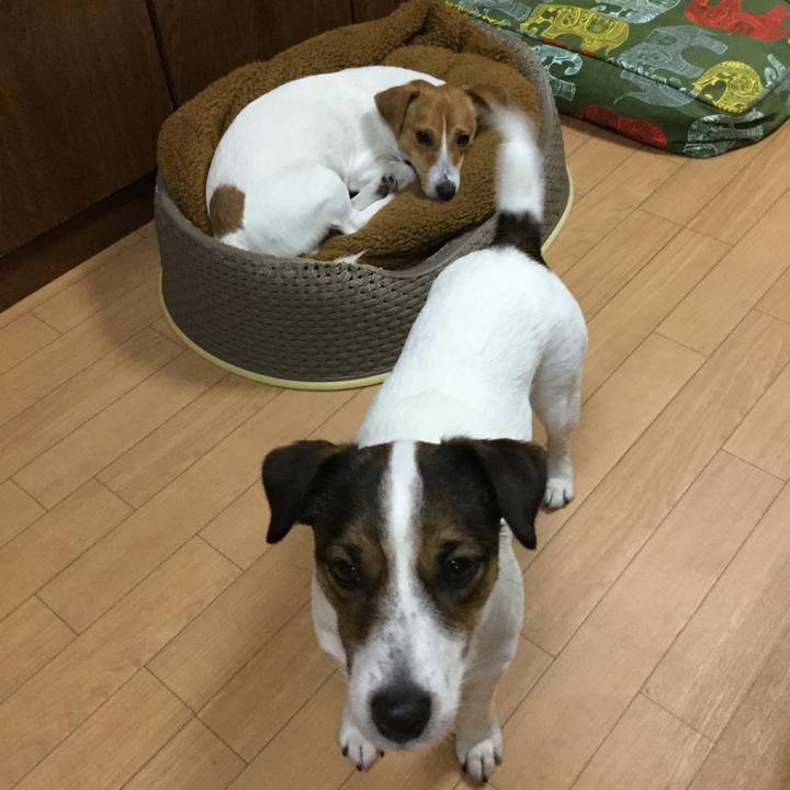 9f57cf0e bcde 468b bab6 059367a29886