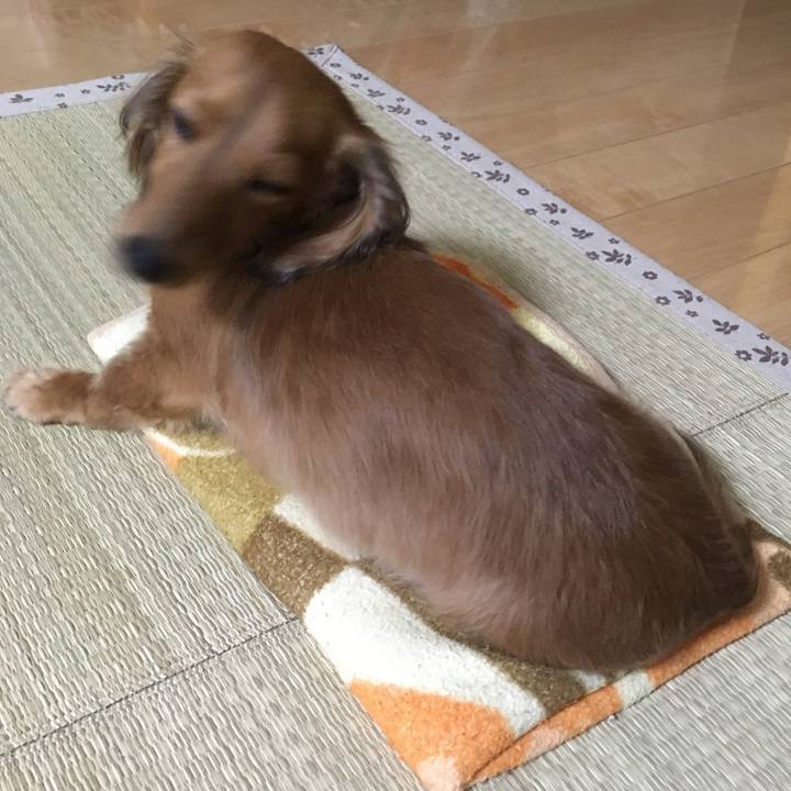 9f584c69 257d 40fa 98e1 95db94c03afc