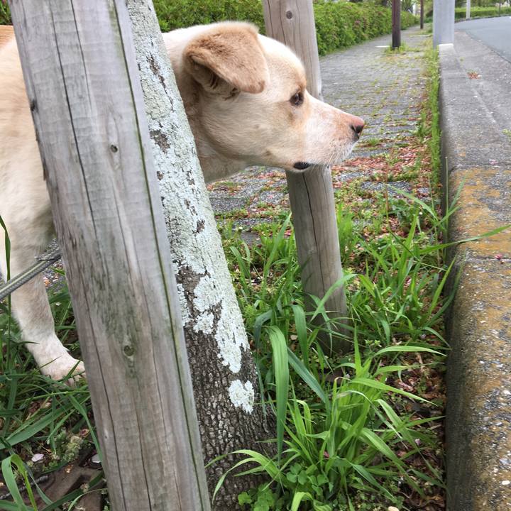 9f58d1b9 0082 4ecf acb8 ac4ccf0bb556