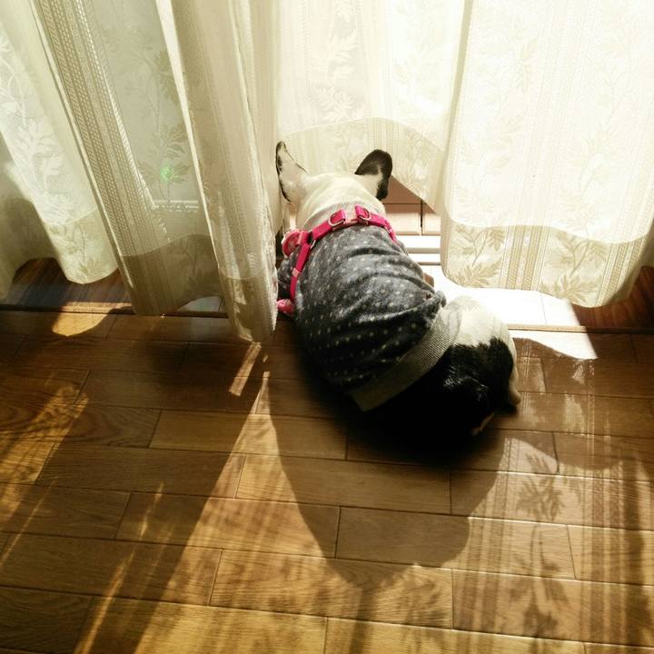 9f59b4ca 38b1 4bc2 bceb e2c2ba945310