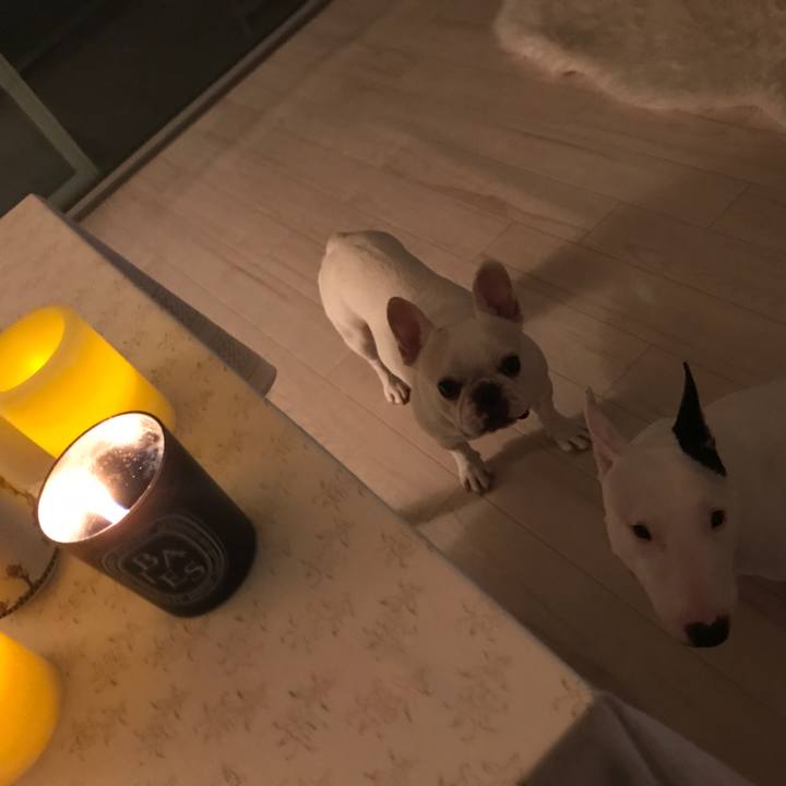 9f59cbfc 93a2 4bae 93ef 30ae1298251c