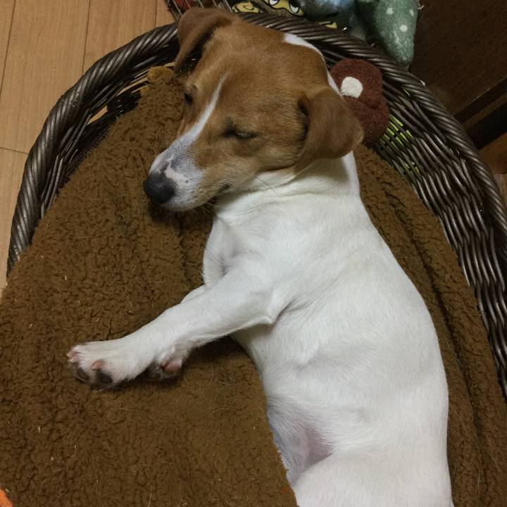 9f5a0bca 2005 466c 9e41 f10e1265b52c