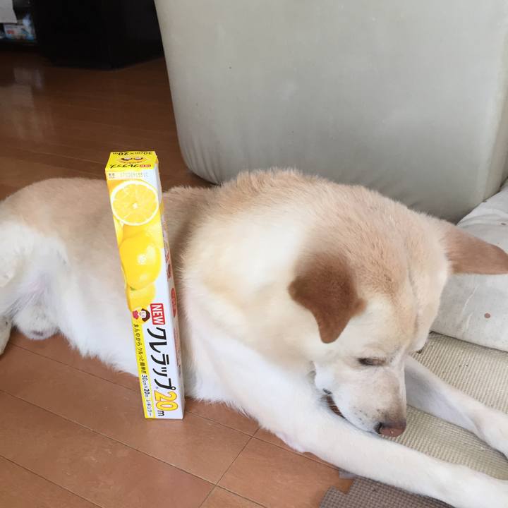 9f5abd6d 0536 4c07 8e35 b075127303b9