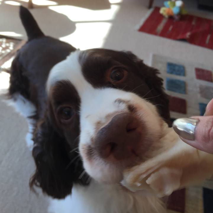 9f5acd28 8b19 4e1b b6a6 ead116abb68a