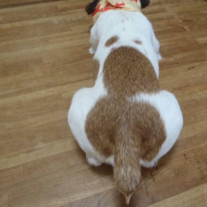 9f5ae899 449b 4d40 b0fc 66f8019bed45