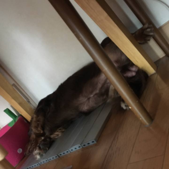 9f5bdf1d af68 406c 88e6 6c391d1fd14f