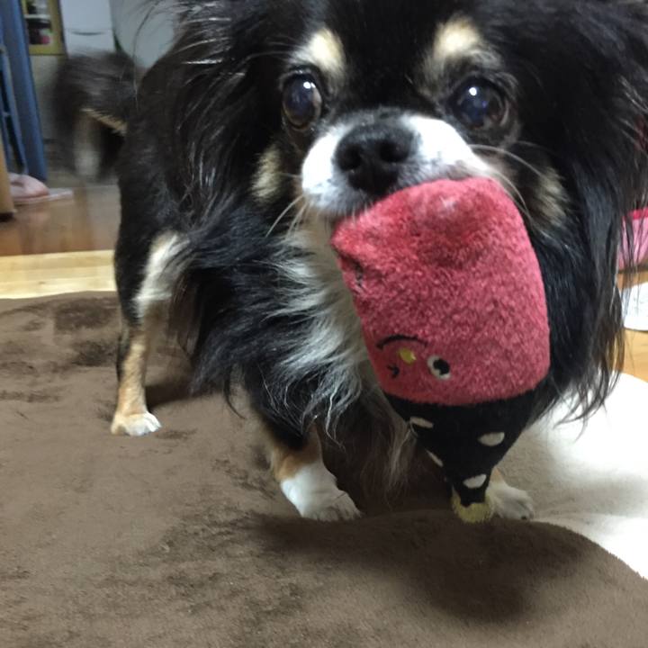 9f5c1d23 68c5 419d bd3d e09580e204cd