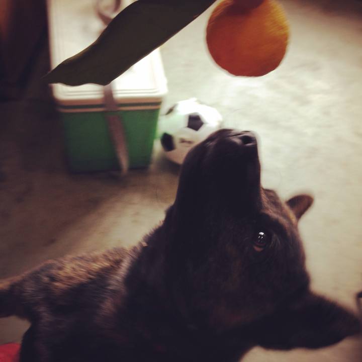 9f5c37e4 cd09 4d96 a0d4 42399c699ff2