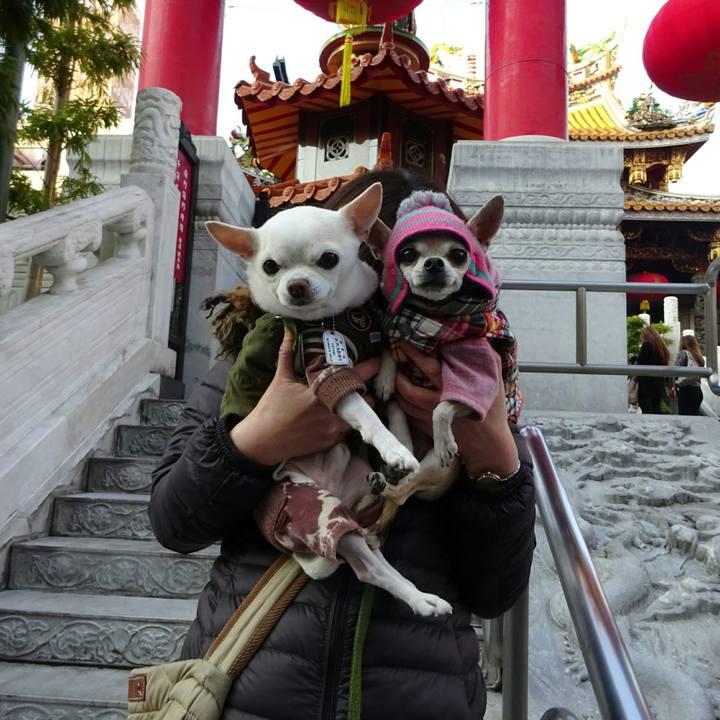 9f5ccf9f a5c0 4584 b4c1 df5ef0c63298