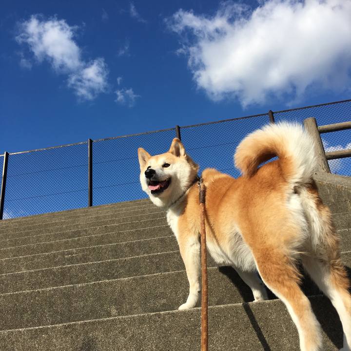 9f5d1be5 51b9 40cf bbd1 5b771a805856