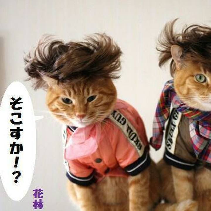 9f5d8d33 9bc2 483c 82a7 4f9860778831