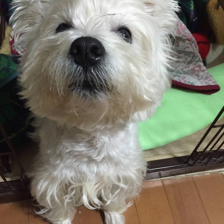 9f5e539e e97f 4884 9742 1ac0353a7b5c