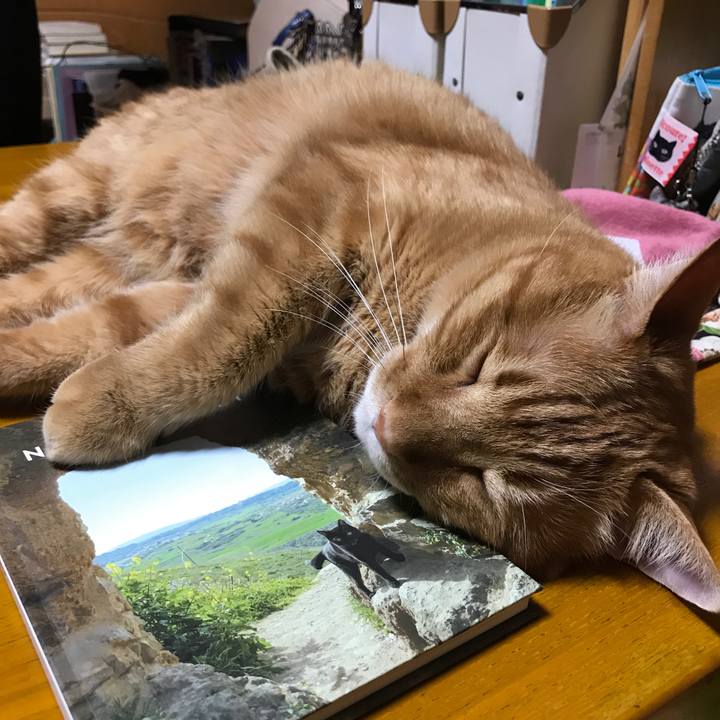 9f5e7526 0b79 4884 804d f9d3e6586e56