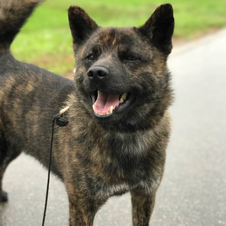 9f5eab56 a465 4012 8362 07d2980a2b9d