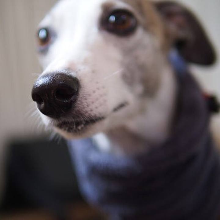 9f5efc41 4d7d 40d7 a966 4b503aad7429