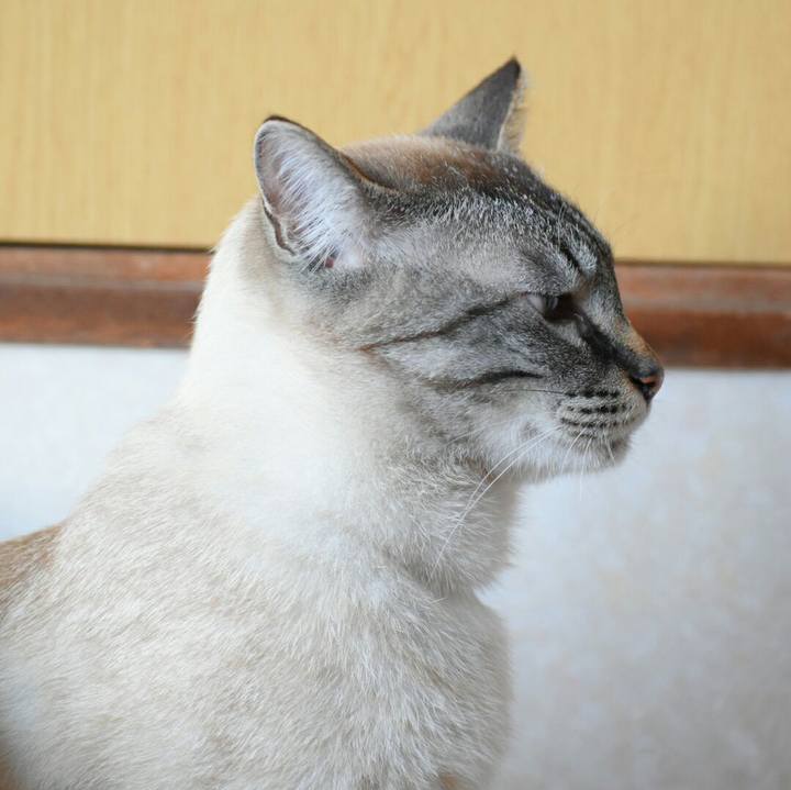 9f5f0710 f905 4467 9e91 c7edc96e2035