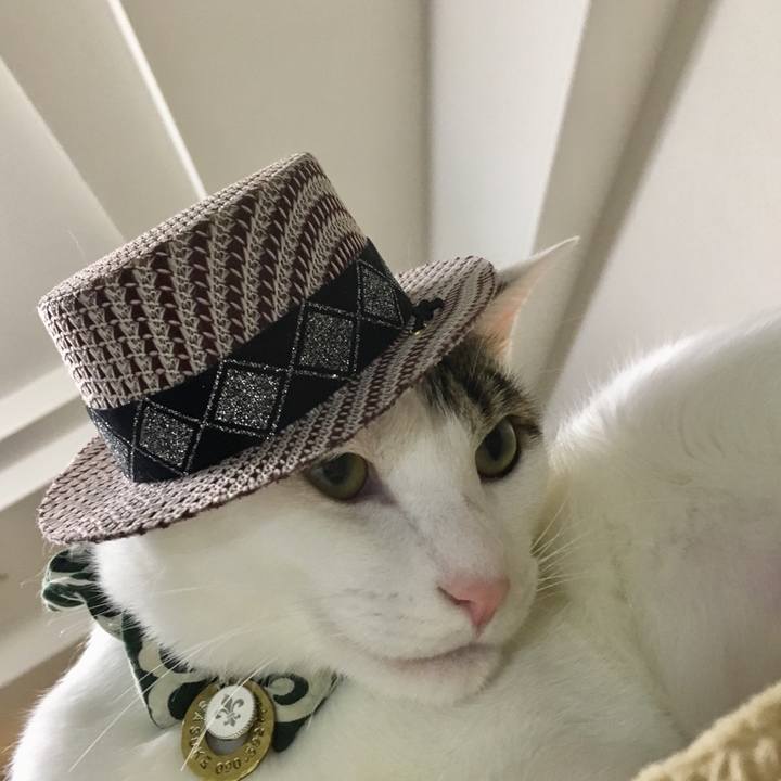 9f5f2abe c2c6 47e8 a2cd f2b34588ca81