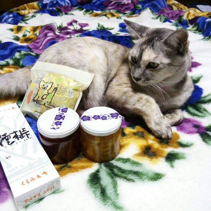 9f60a901 4305 4b01 b864 a9b262dd963b